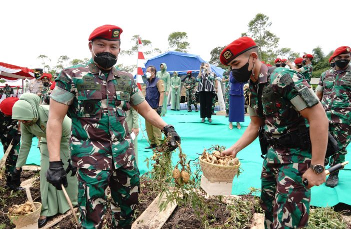 Danjen Kopassus Panen Raya Ubi Cilembu Di Pusdiklatpassus Kopassus